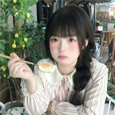 29片棕榈叶